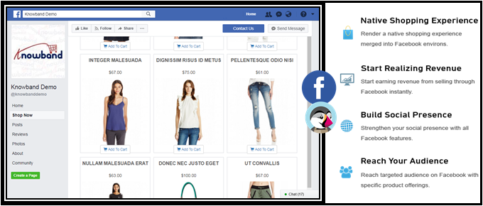 Module complémentaire de boutique Facebook Prestashop