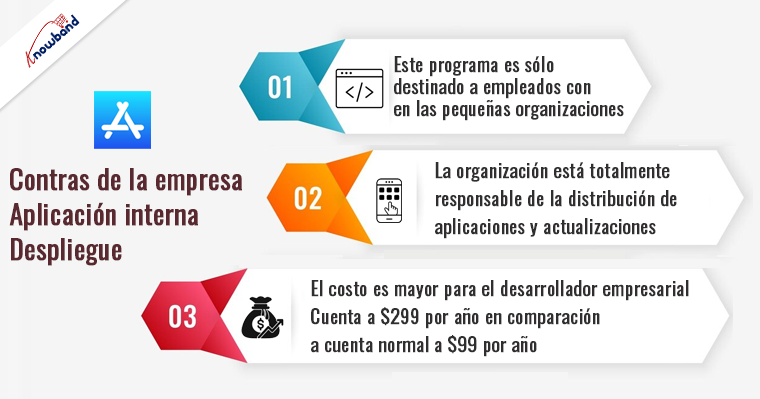 Desventajas de la implementación interna de aplicaciones empresariales - Knowband