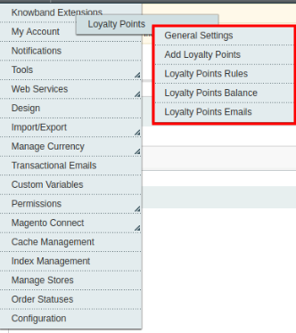 Magento Loyalty Points module customization options