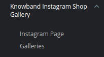 PrestaShop Instagram Shop Gallery addon