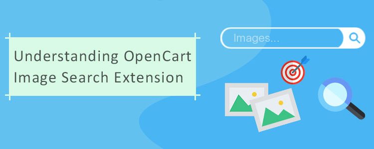 Understanding OpenCart Image Search Extension