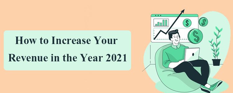 how-to-increase-your-revenue-in-the-year-2021