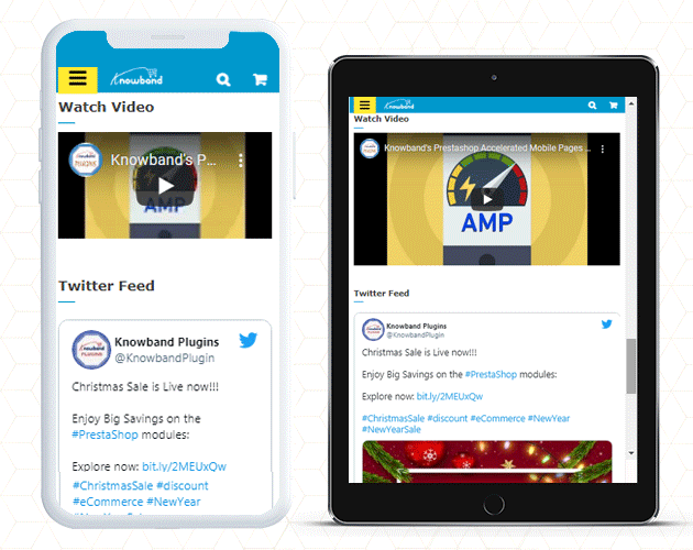 amp-video-and-twitter-integration