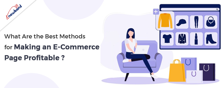 What Are the Best Methods for Making an eCommerce Website Profitable?