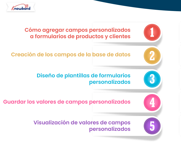 como-guardar-y-mostrar-el-valor-de-un-campo-de-formulario-personalizado-mediante-el-gancho-de-2