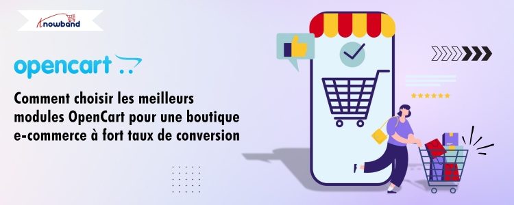 (French) Top OpenCart Plugins…