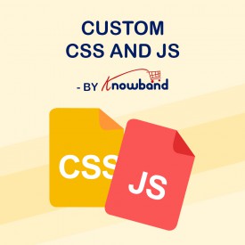 CSS et JS Personnalisés - Prestashop Addons