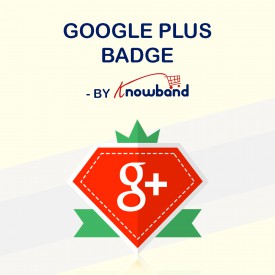 Plakietka Google+ - Dodatki Prestashop